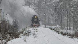 Через Владимирскую область запустят турмаршрут «В Дивеево» на поезде