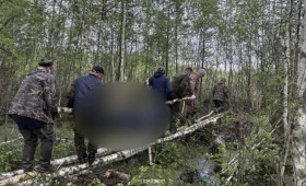 Гибель 38-летнего жителя Гусь-Хрустального района в лесу обернулась уголовным делом