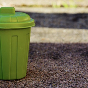 Жителей поселка во Владимирской области оставили без мусорных баков