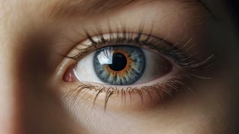 День Лонгина Сотника: что можно и чего нельзя делать 29 октября