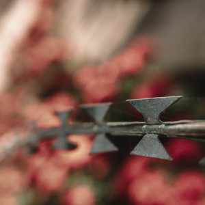 Под Владимиром на кладбище нашли труп человека