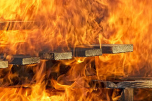 Высокую пожарную опасность продлили во Владимирской области до 1 июня