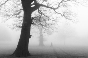 Прогноз погоды во Владимире и области на 8 декабря 2025 года