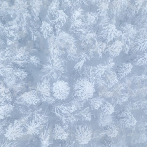 Стало известно, когда во Владимирской области завершится снегопад