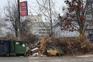 Дмитрия Наумова наказали за замусоренный Владимир