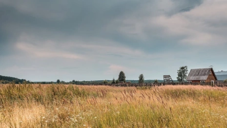 Во Владимирской области собственница «превратила» урочище в деревню 