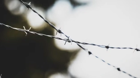 Во Владимирской области 22-летний выходец из Центральной Азии призывал к терроризму