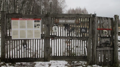 Падение 10-летней девочки с лошади в Киржачском районе обернулось уголовным делом