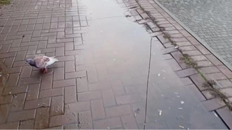 Жители Юрьев-Польского пожаловались на благоустройство у Торговых рядов