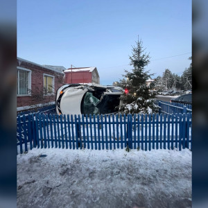 Иномарка влетела в приют «Атлант» под Владимиром