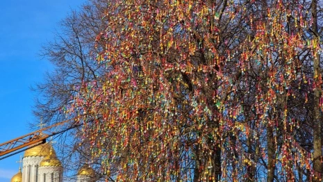 Во Владимире вновь «распустилось» Пасхальное дерево