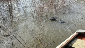 Второго пропавшего в Меленковском районе рыбака нашли мертвым