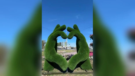 На Суздальском проспекте во Владимире установили «Руки-сердце»