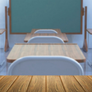 Во Владимире учителя уволят после избиения ребенка в школе №33