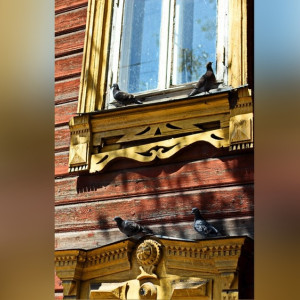 Во Владимирской области райцентр решили превратить в туристический город