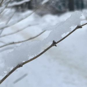 Прогноз погоды во Владимирской области на 16 ноября 2025 года