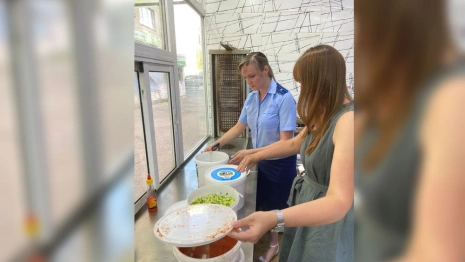 Во Владимире раскрыли адреса 6 фигурирующих в деле об отравлении шаурмичных