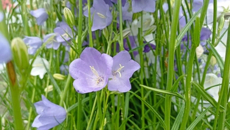 Прогноз погоды во Владимире и области на 21 августа