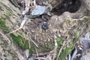 Во Владимире 17-летнего подростка арестовали за закладки с наркотиками