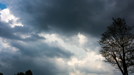 Прогноз погоды во Владимирской области на 9 ноября