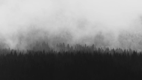 Прогноз погоды во Владимире и области на 18 октября 2025 года