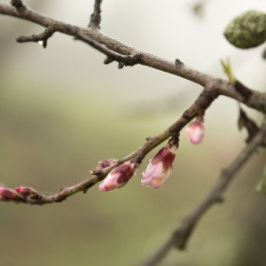 Прогноз погоды на 28 марта 2024 года во Владимире и области