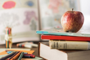 Во Владимирской области стартовал прием заявок в первые классы