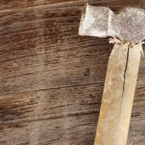 Житель Владимирской области до смерти забил молотком соседку по даче