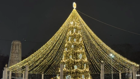 В Новогоднюю ночь во Владимире пустят 3 автобусных маршрута