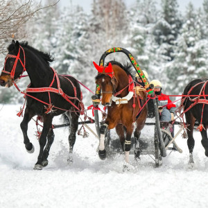 Гости Суздаля впервые смогут покататься на русской тройке на Масленицу