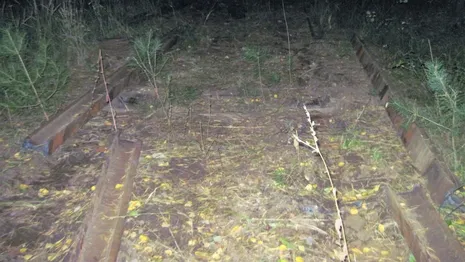 Во Владимирской области мужчины разобрали железную дорогу ради наживы