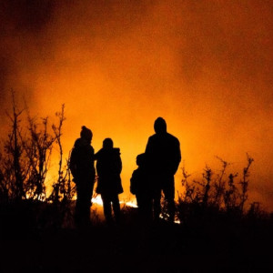 Владимирская область вошла в топ-5 регионов по скорости борьбы с лесными пожарами