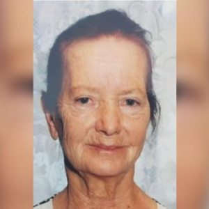 В Меленковском районе пропала 85-летняя бабушка