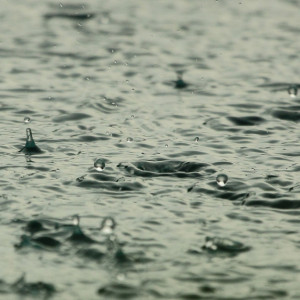 Синоптики дали прогноз на первый день июля во Владимире