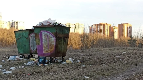 Более 200 жителей Владимира пожаловались в прокуратуру на вывоз мусора