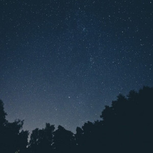 Владимирцев ждет самая короткая ночь в году