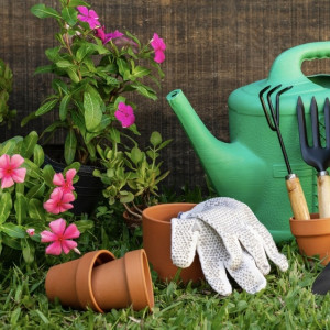 В Петушках председателя СНТ будут судить за присвоение 2 млн рублей