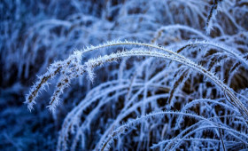 Во Владимирскую область вернутся 22-градусные морозы