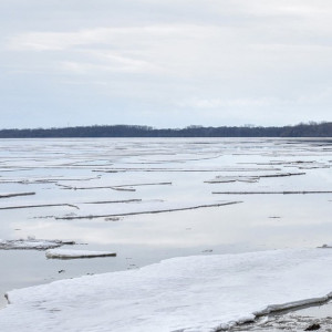 Двое владимирских рыбаков провалились в полынью на Волге