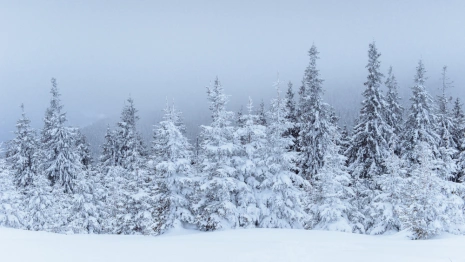Прогноз погоды во Владимире и области на 12 декабря