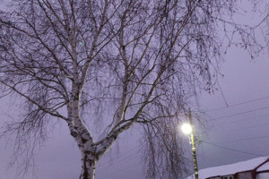 Прогноз погоды во Владимирской области на 8 февраля 2025 года