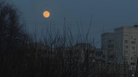 В октябре жители Владимирской области смогут увидеть суперлуние и звездопад