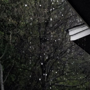 Гроза принесет похолодание во Владимирскую область