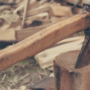 Во Владимирской области «черный лесоруб» спилил сосны на 160 тысяч