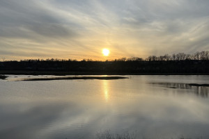 Водолазы отправятся на реку Бородинку в Суздальском районе на поиски мужчины
