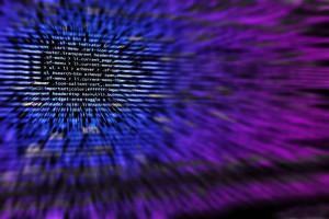 Власти обеспечат стажировку студентов в IT-предприятиях
