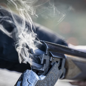 В Суздале застрелившему лосиху браконьеру назначили 9 месяцев исправительных работ  