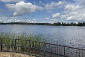 Самые грязные реки в России находятся во Владимирской области