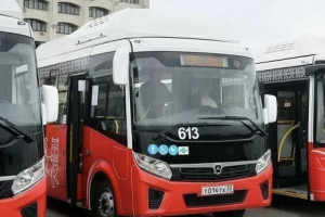 Во Владимирской области купят 28 новых автобусов в предстоящем году