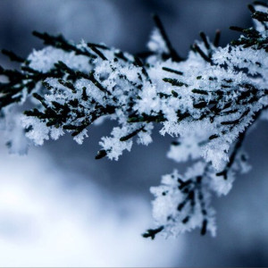 Владимирские синоптики дали прогноз на первые выходные февраля